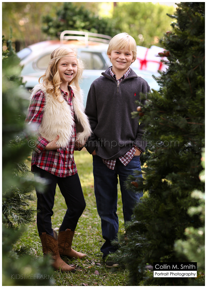 KIDSTREEFARM_00006FB